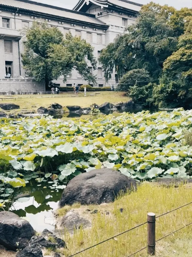 東京國立博物館。