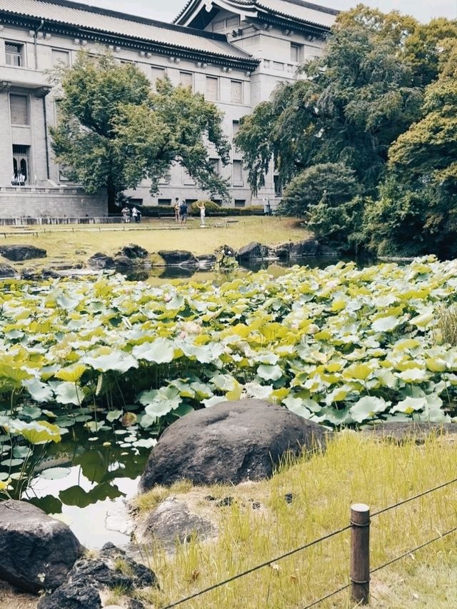 THE TOKYO NATIONAL MUSEUM.