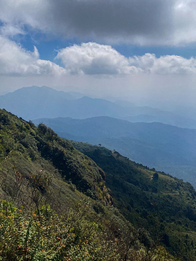 Kew Mae Pan Nature Trail 🌿