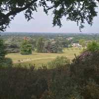 Richmond Park