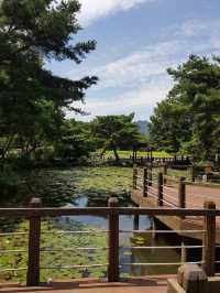 🌿 Green Oasis at Seoul Grand Park Botanical Garden  