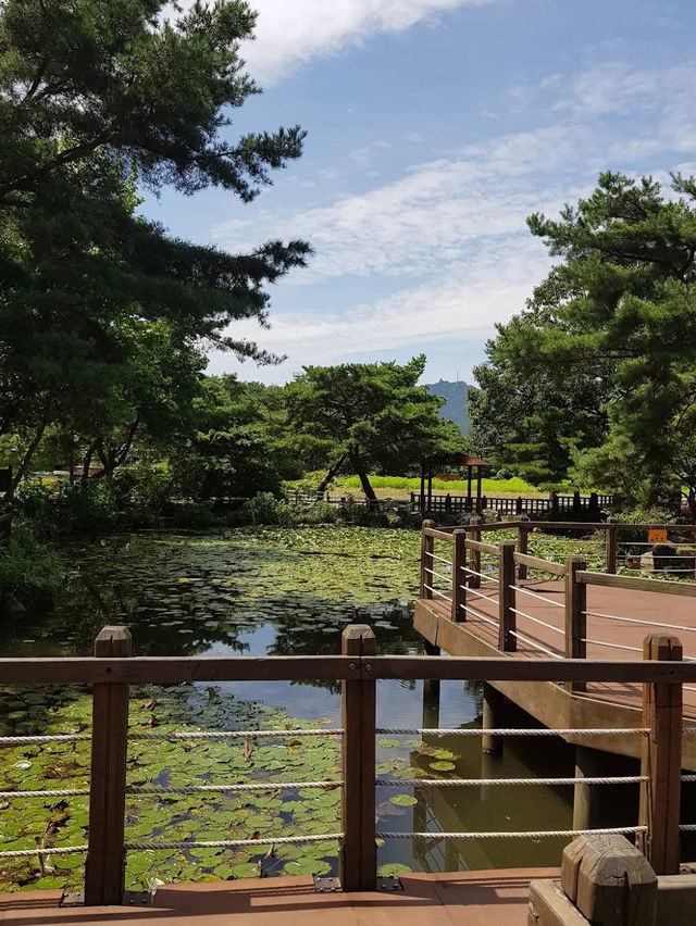 🌿 Green Oasis at Seoul Grand Park Botanical Garden  