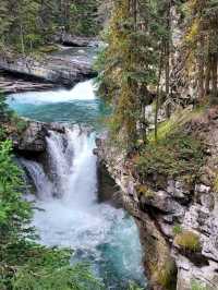Jaspwe Rockies