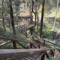 Araluen Botanic Park