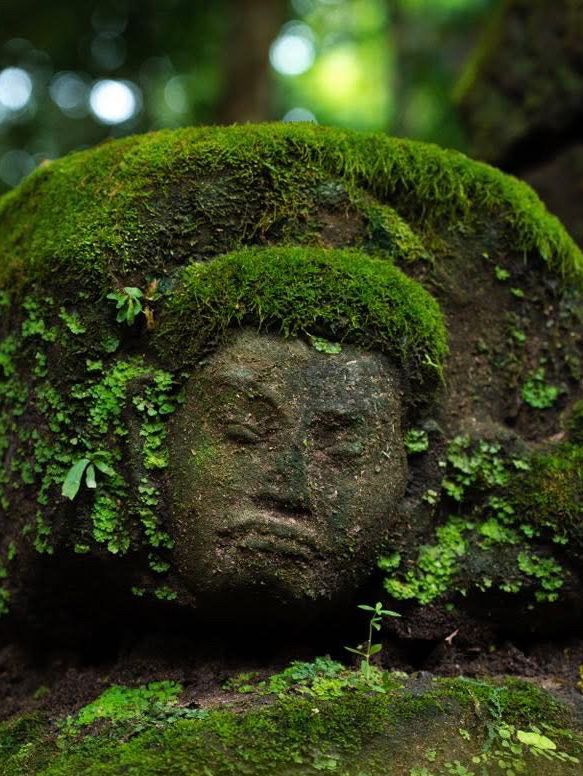 Palilai Temple, Find your own magic here!