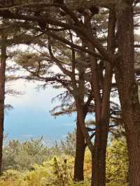 Perfect Year-Round Natural Beauty