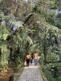Curug Lembah Tepus - Pamijahan Bogor