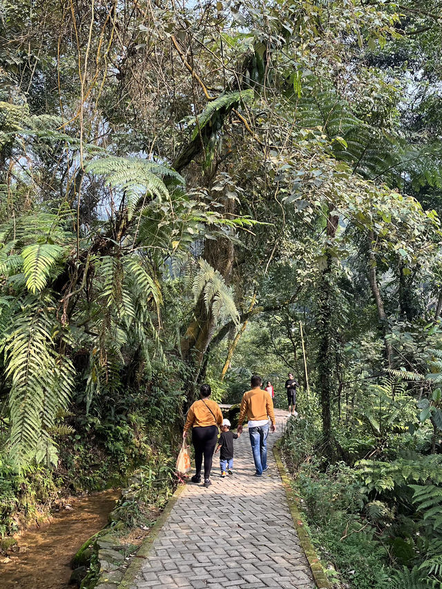 Curug Lembah Tepus - Pamijahan Bogor