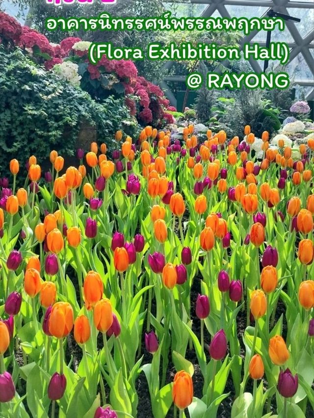 อาคารนิทรรศน์พรรณพฤกษา (Flora Exhibition Hall)