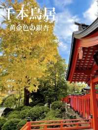真っ赤な鳥居と黄色のイチョウのコントラストが絶景