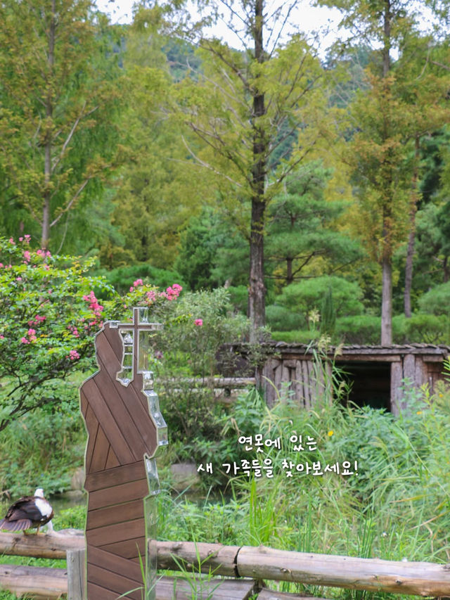 전주의 숨겨진 피크닉 스팟, 이런 순교성지는 어때요? 
