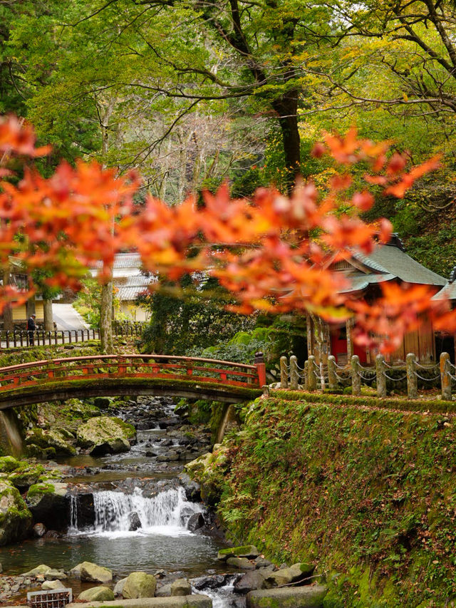 美しい6角形の塔(写経を納める塔)と紅葉の美しさ。