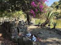 Botanical Garden of Crete