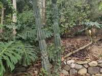 Botanical Garden of Crete