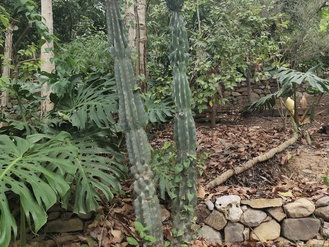 Botanical Garden of Crete