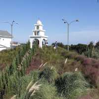 Jeju herb garden