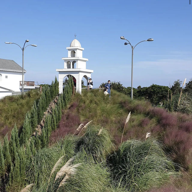 Jeju herb garden