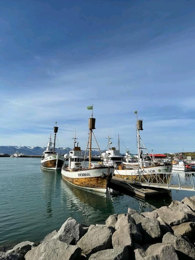 Whale Watching Magic in Husavik, Northeastern Region Whale Watching Magic in Husavik, Northeastern Region
