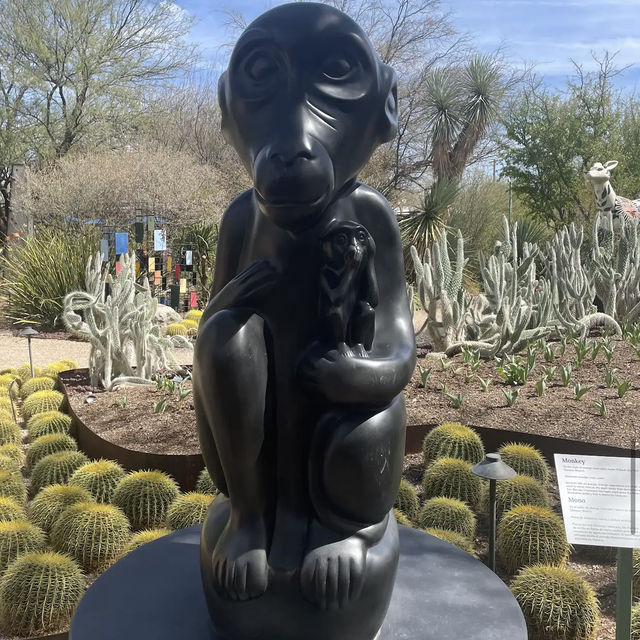 Tucson Botanical Gardens