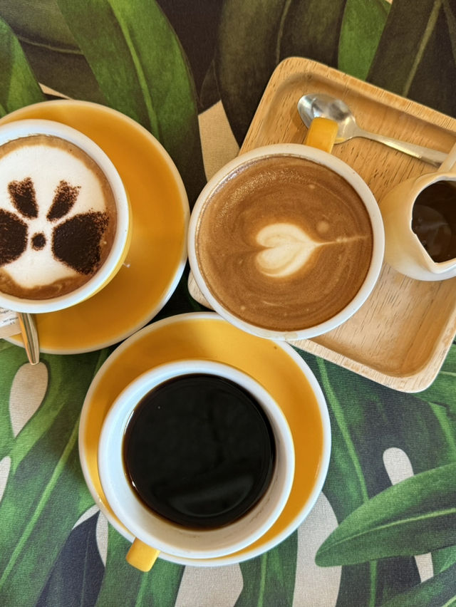 Tropical River Calm🌴 After the Rain Cafe Bangkok Tropical River Calm🌴 After the Rain Cafe Bangkok