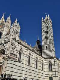 시에나 대성당, 섬세한 바닥 모자이크가 빛나는 예술의 장