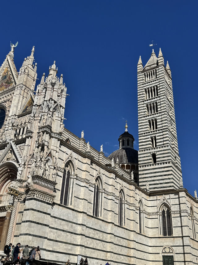 시에나 대성당, 섬세한 바닥 모자이크가 빛나는 예술의 장
