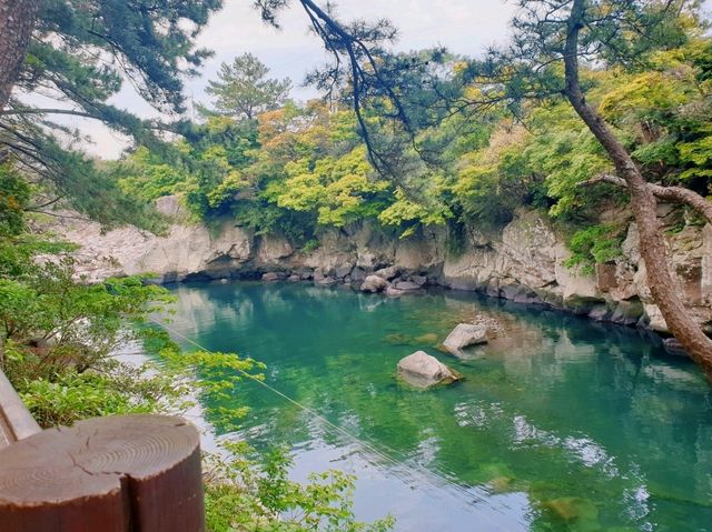 민물과 바다가 만나는 곳! 📍쇠소깍 민물과 바다가 만나는 곳! 📍쇠소깍