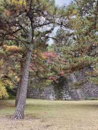 A Quiet Autumn Escape Inside the Imperial Palace
