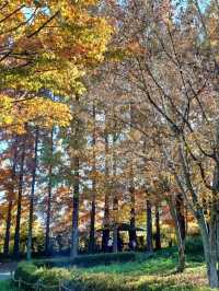 산책만으로도 힐링