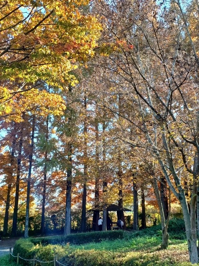 산책만으로도 힐링 산책만으로도 힐링