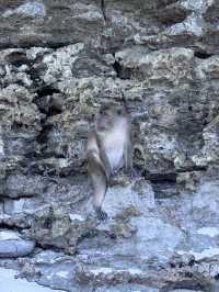 皮皮島、瑪雅灣、猴子島、Khai島:普吉海上四大夢幻景點一次玩到飽