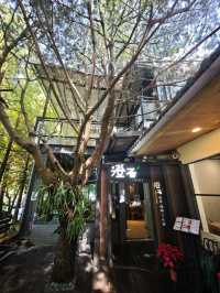 🌲落羽松秘境中的蔬食饗宴#🌿 澄石享自在-臺中市北屯區