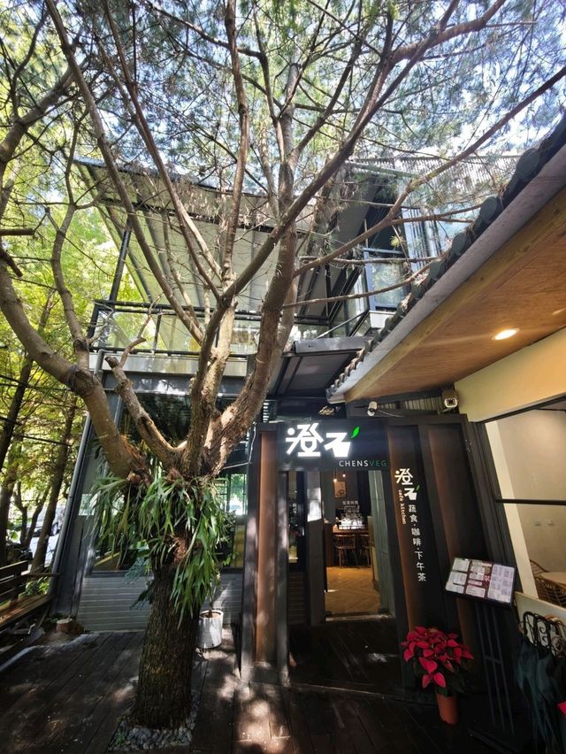 🌲落羽松秘境中的蔬食饗宴#🌿 澄石享自在-臺中市北屯區