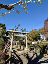 🍁 Autumn Reflections at a Secret Shrine Pond