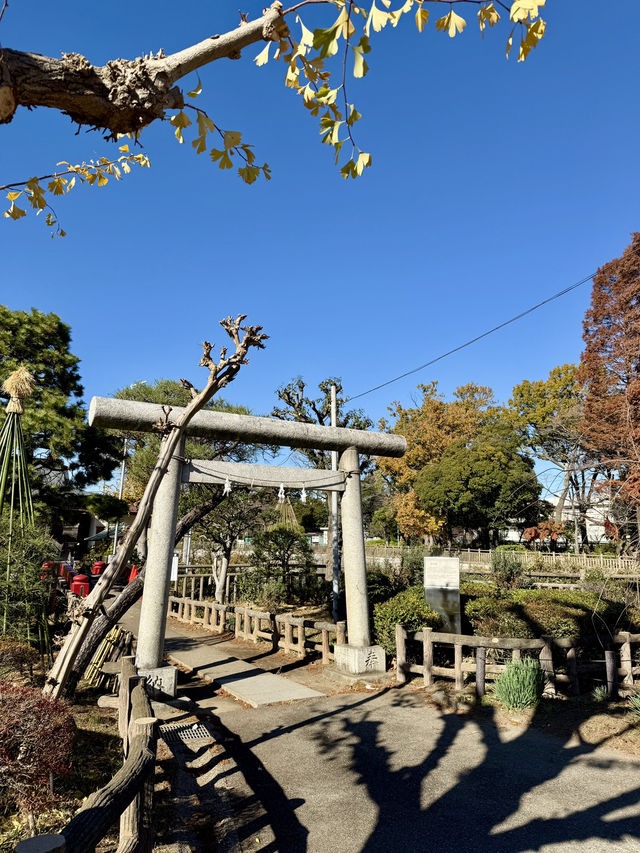 🍁 Autumn Reflections at a Secret Shrine Pond 🍁 Autumn Reflections at a Secret Shrine Pond
