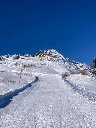 Vitosha Mountain: Skiing with a City View