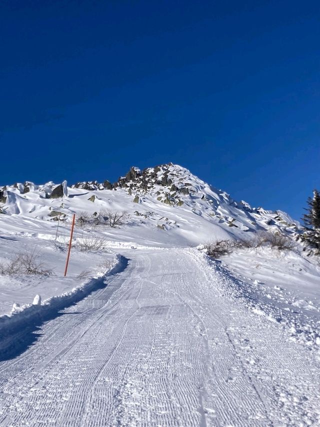 Vitosha Mountain: Skiing with a City View Vitosha Mountain: Skiing with a City View