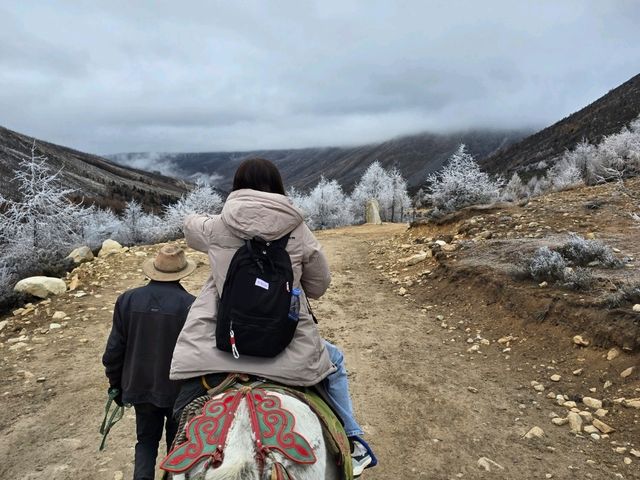 มู่เกอชั่ว (Mugecuo)