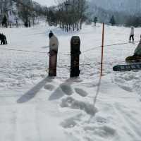 Sapporo Ski Dream❄️