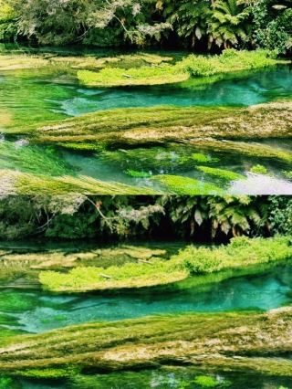 New Zealand Blue Springs Review | The Air Changes the Moment You Take a Breath