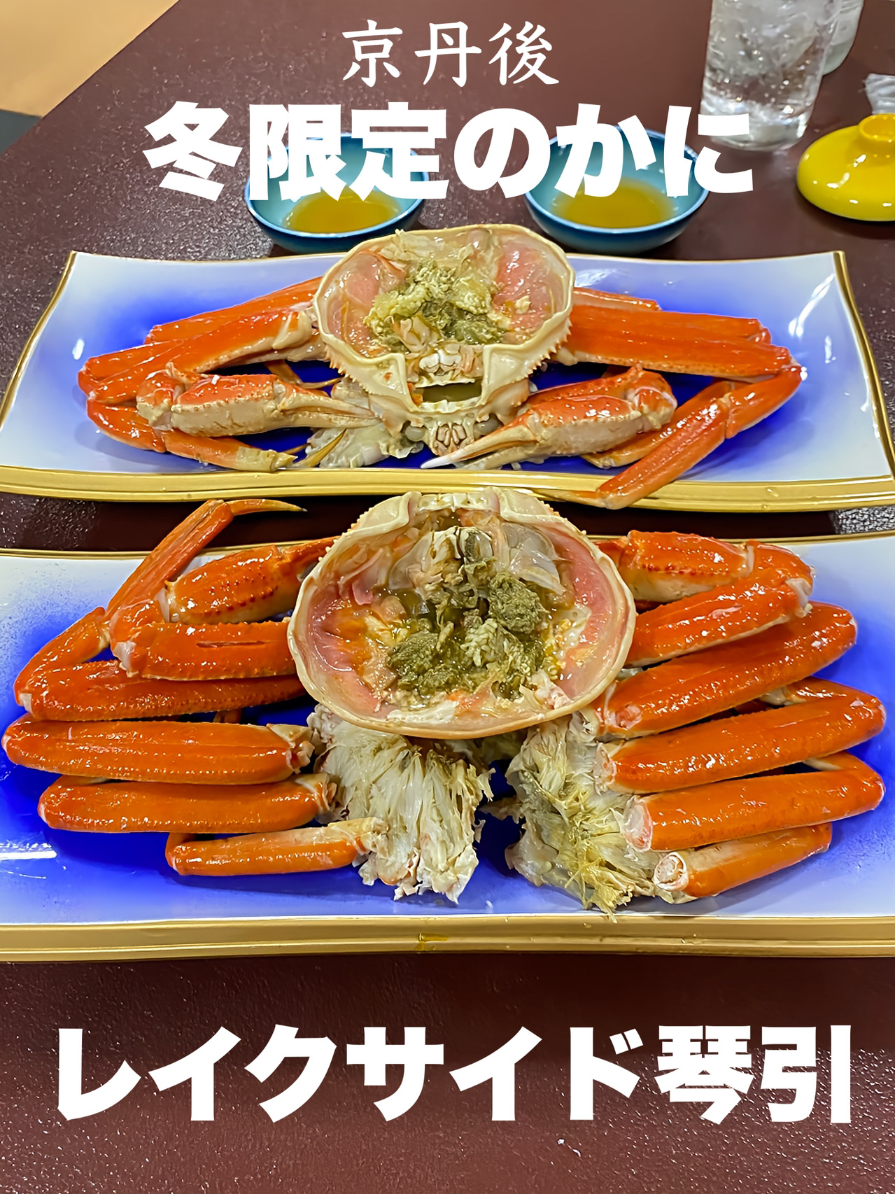 【京都府】冬の京丹後で味わうかに旅一泊二日