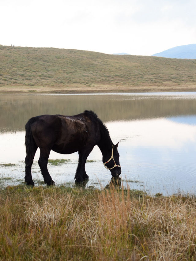 大自然満喫!春から秋にオススメの阿蘇の絶景スポット