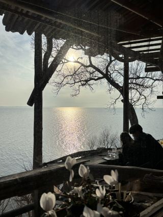 【滋賀】まるで海のような絶景！琵琶湖を眺めるログハウスカフェと、可愛すぎるふわふわアヒルに癒される『シャーレ水ヶ浜』