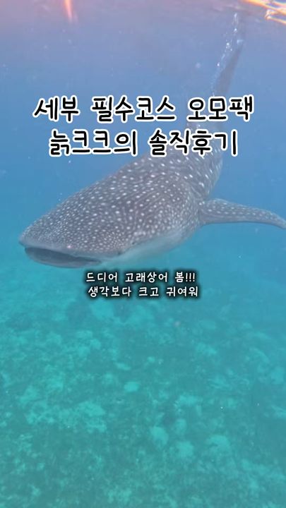 세부 필수코스 오모팩 솔직 후기