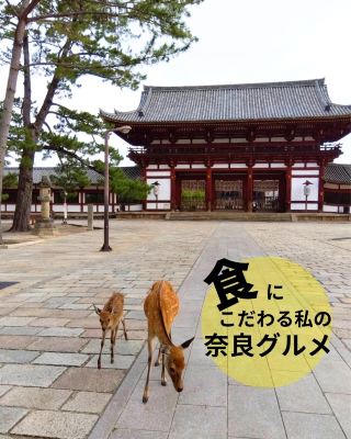 My Nara Gourmet Guide: A Foodie’s Local Favorites.