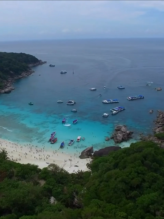 5D4N Similan Liveaboard 🇹🇭 | Eat, Sleep, Dive, Repeat 🤿
