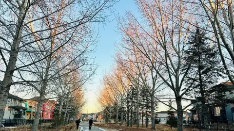 🌿🌆 Edmonton: A Different Kind of Beauty 🇨🇦 — traveler post in Edmonton