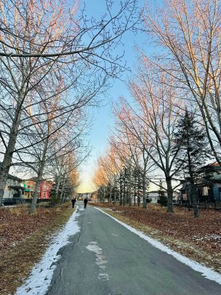 🌿🌆 Edmonton: A Different Kind of Beauty 🇨🇦