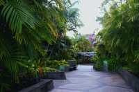 Supertree Grove Singapore: My Unexpected Nature Escape in the Middle of the City