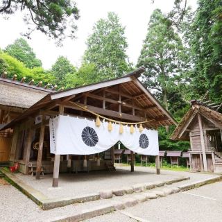 🌲京都的秘密神社和傳說中的黑色鳥居⛩️👹